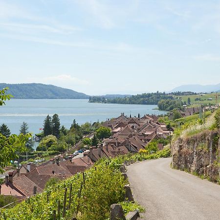 Alpes Et Lac Ла-Нёввиль Экстерьер фото