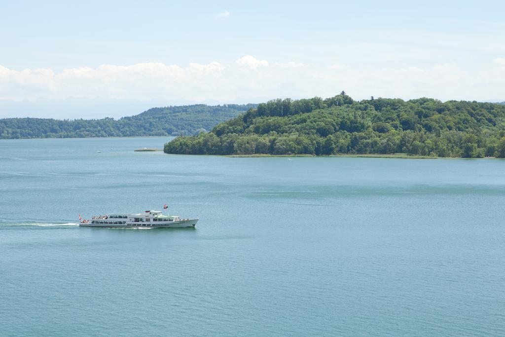 Alpes Et Lac Ла-Нёввиль Экстерьер фото